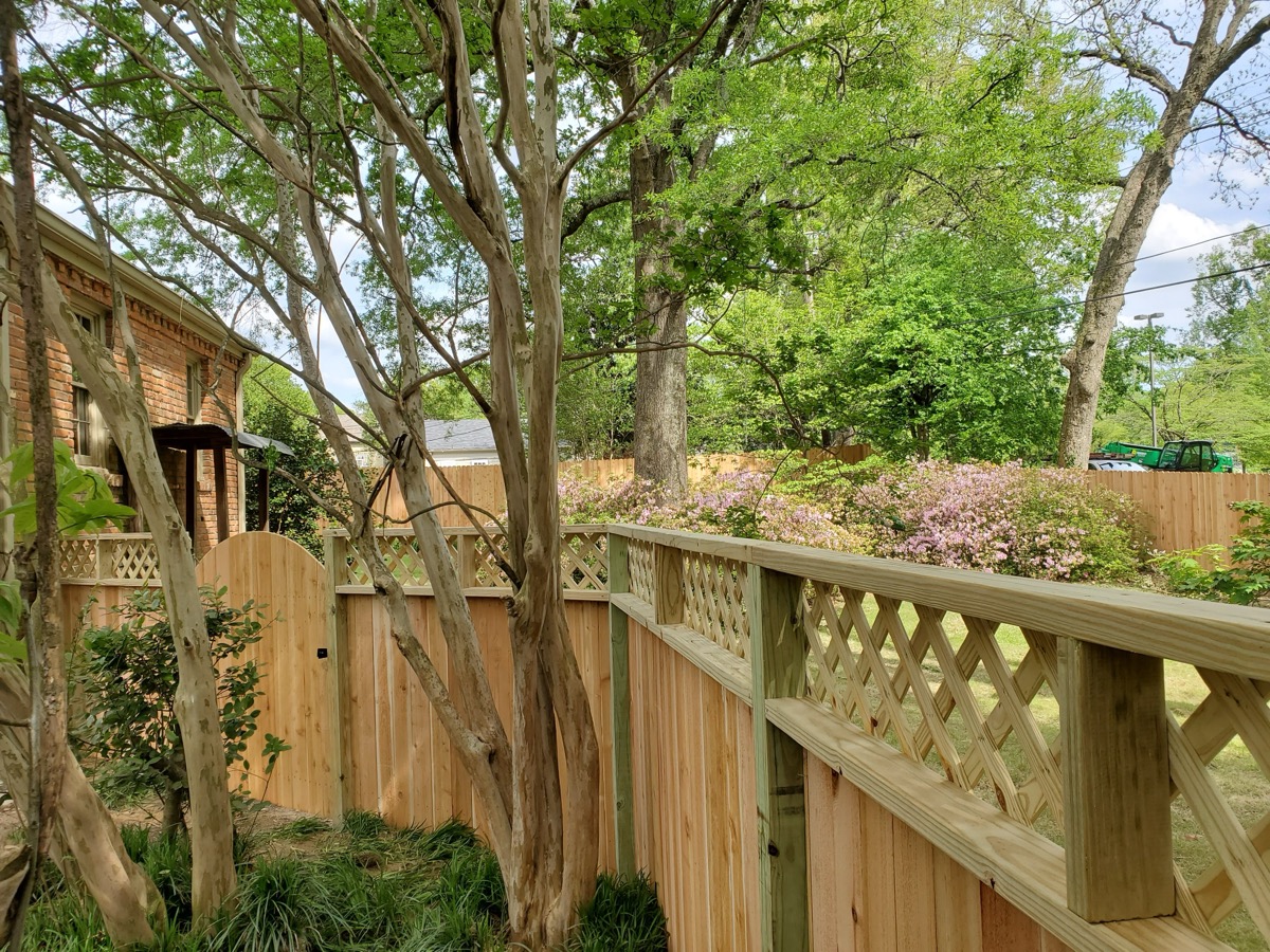 Lattice-top fence with lush garden and mature trees
