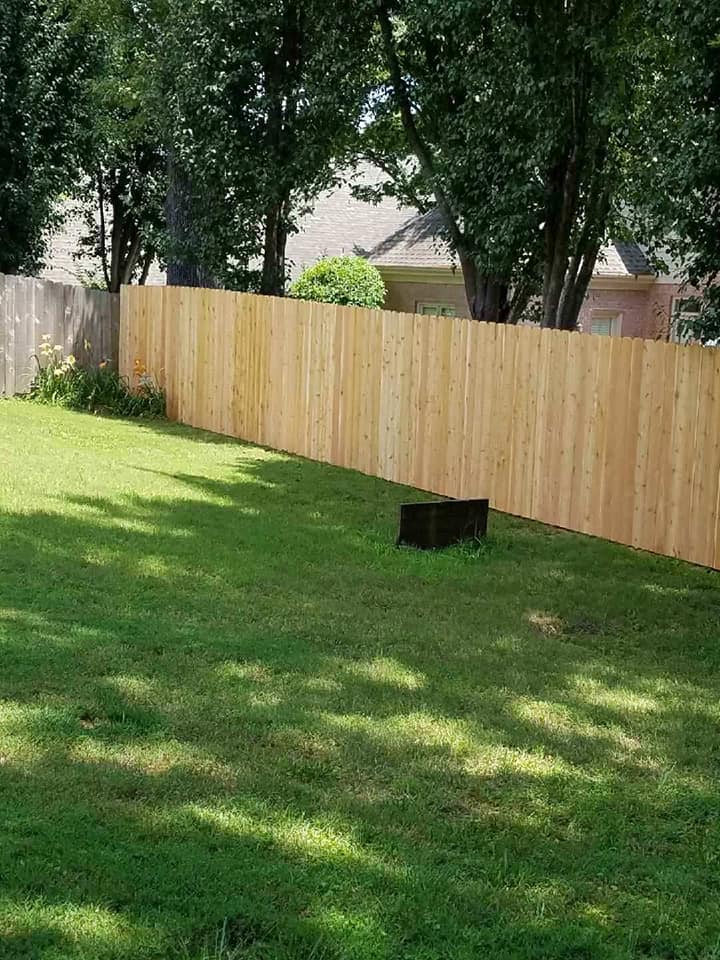 Wood privacy fence with mature trees in shaded backyard